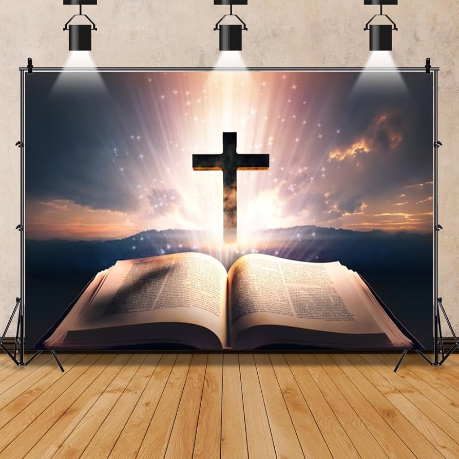 61FVMKqP0IL._AC_UF894,1000_QL80_